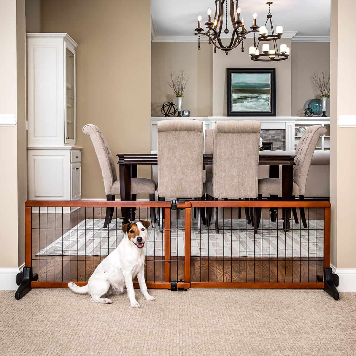 Carlson Free Standing Pet Gate For Small Dogs