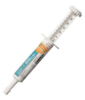 Vitalize Equine Recovery Gel 30 ml