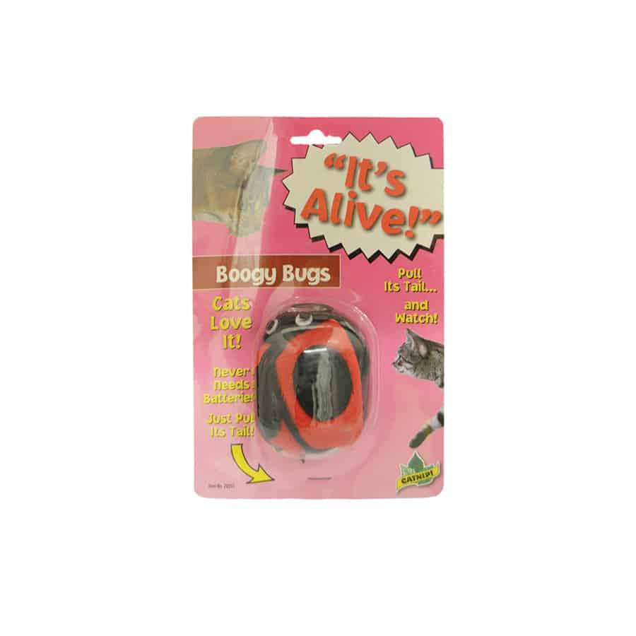 It's Alive Boogy Bugs Cat Toy