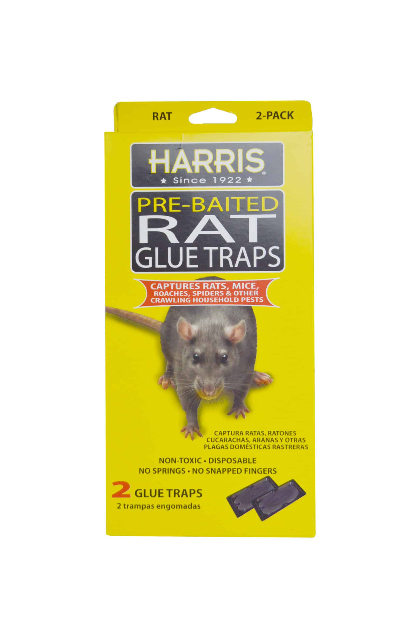 Harris Rat Glue Trap 2 Ct