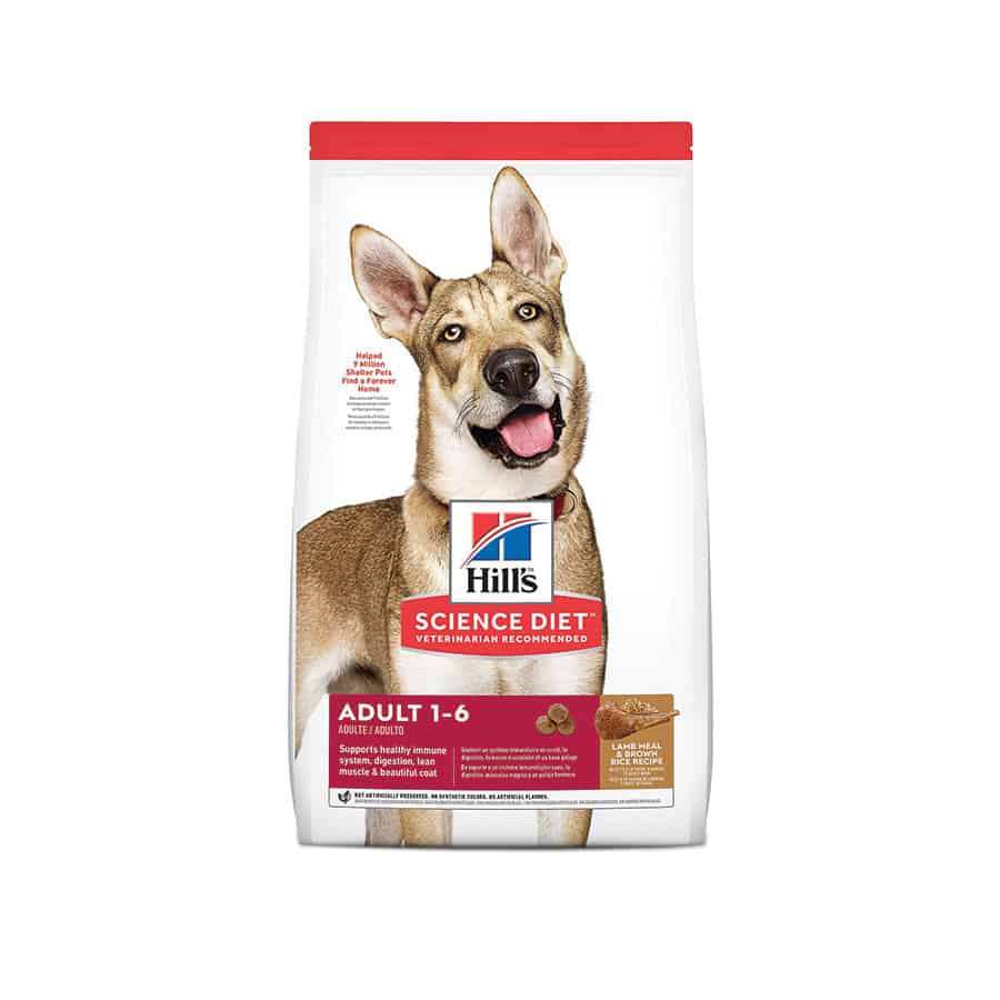 Science Diet Adult Lamb & Rice Dog Food Dry