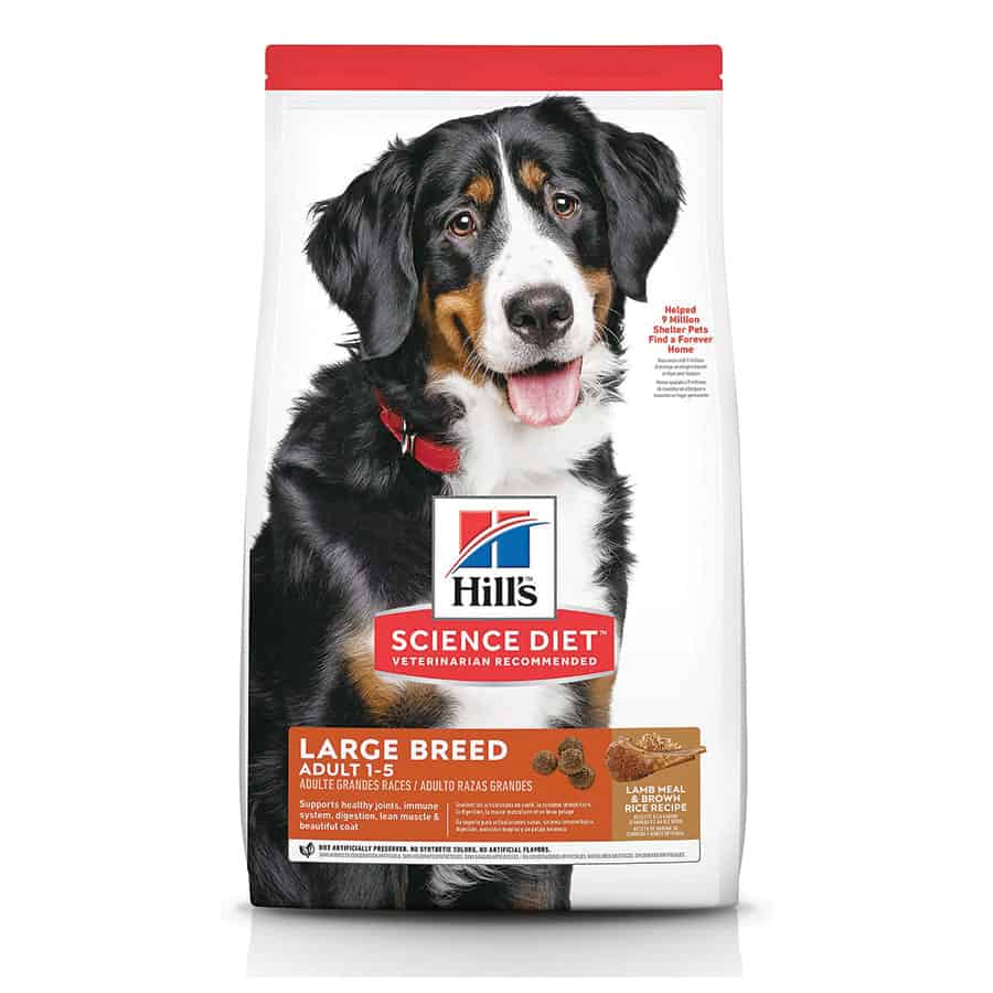 Science Diet Adult Lamb & Rice Large Breed Dog Food-Dry