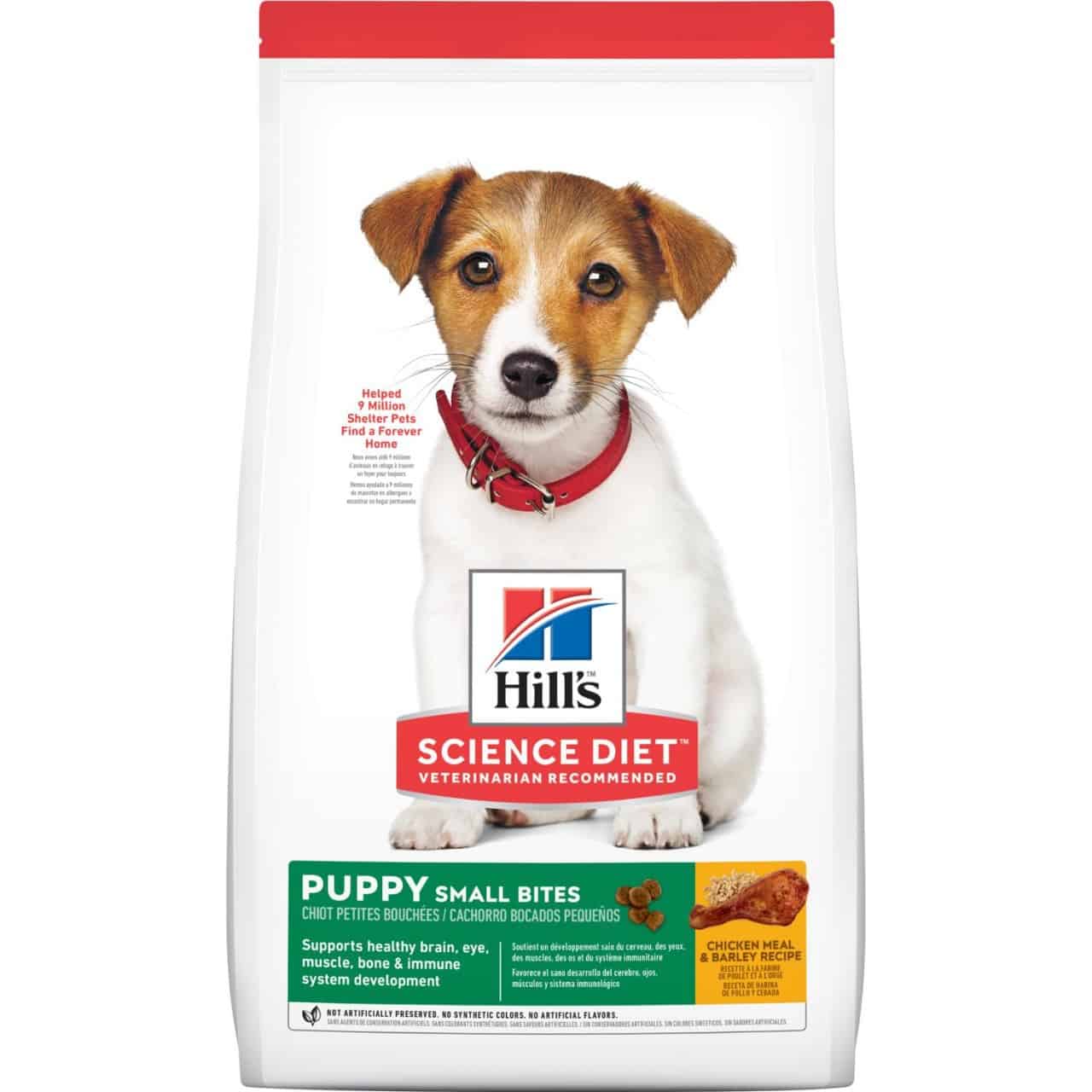 Science Diet Puppy Small Bite Dog Food