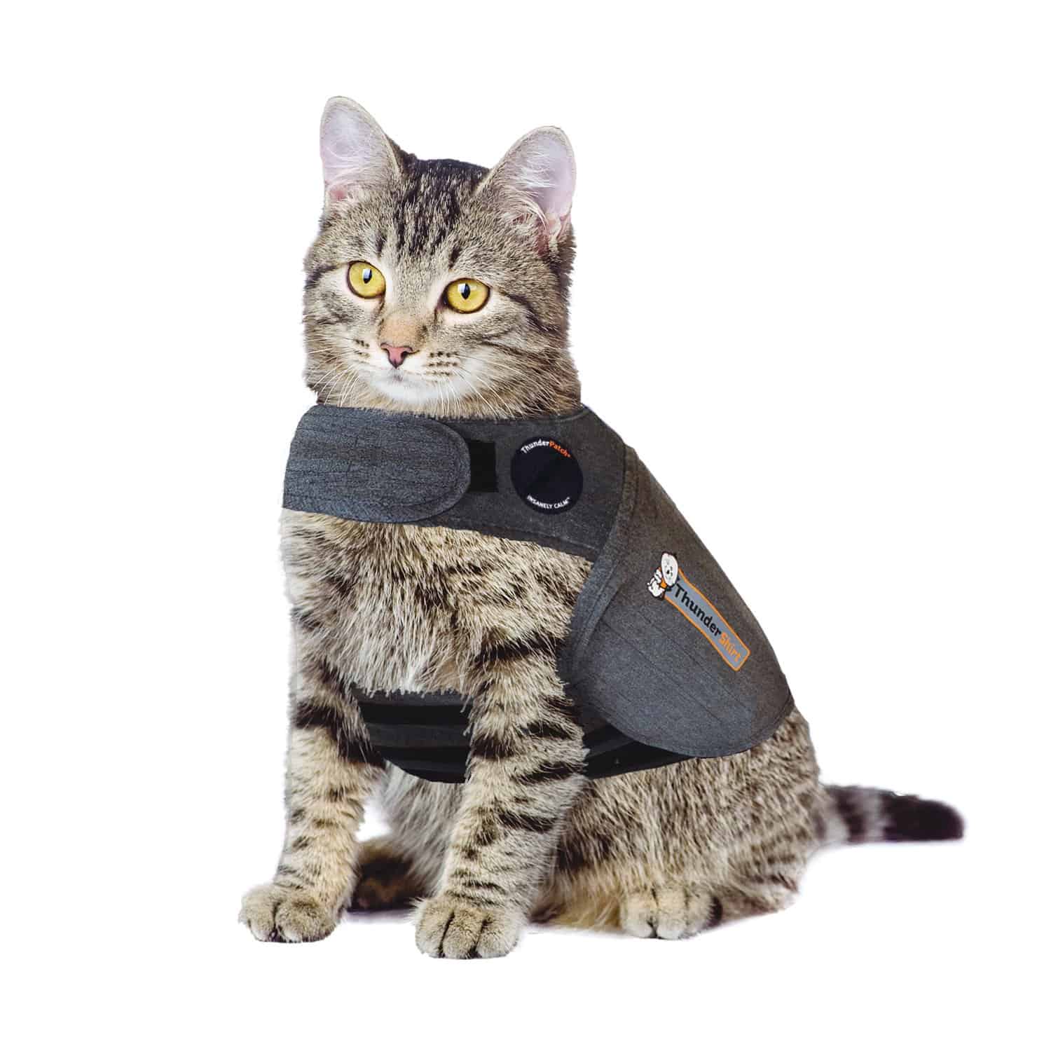 ThunderShirt For Cats