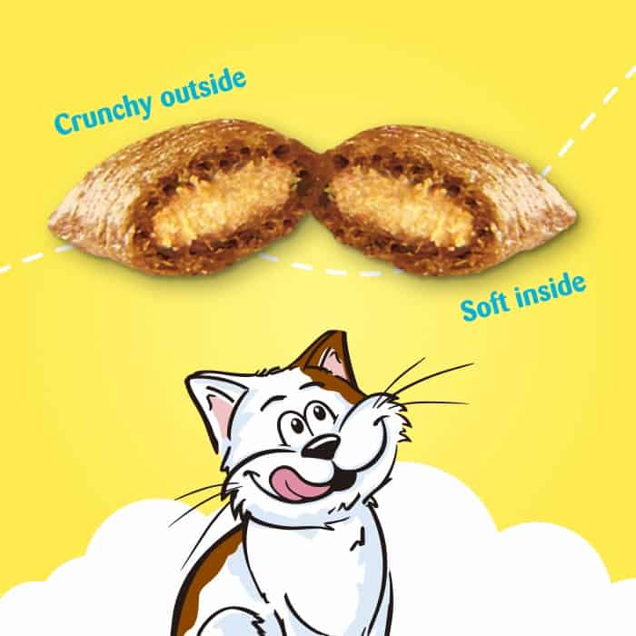 Temptations Creamy Dairy Flavor Cat Treats BULK 16 oz