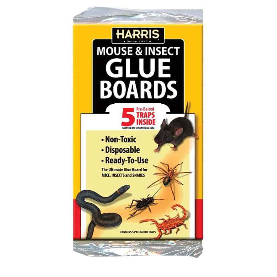 Harris Mouse & Insect Glue Boards 5 pack