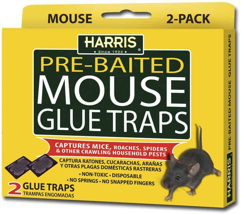 Harris Mouse Glue Trap 2 pack