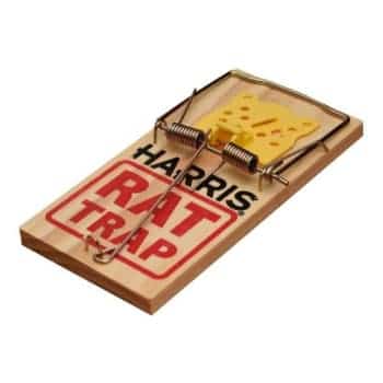 Harris Wooden Rat Trap