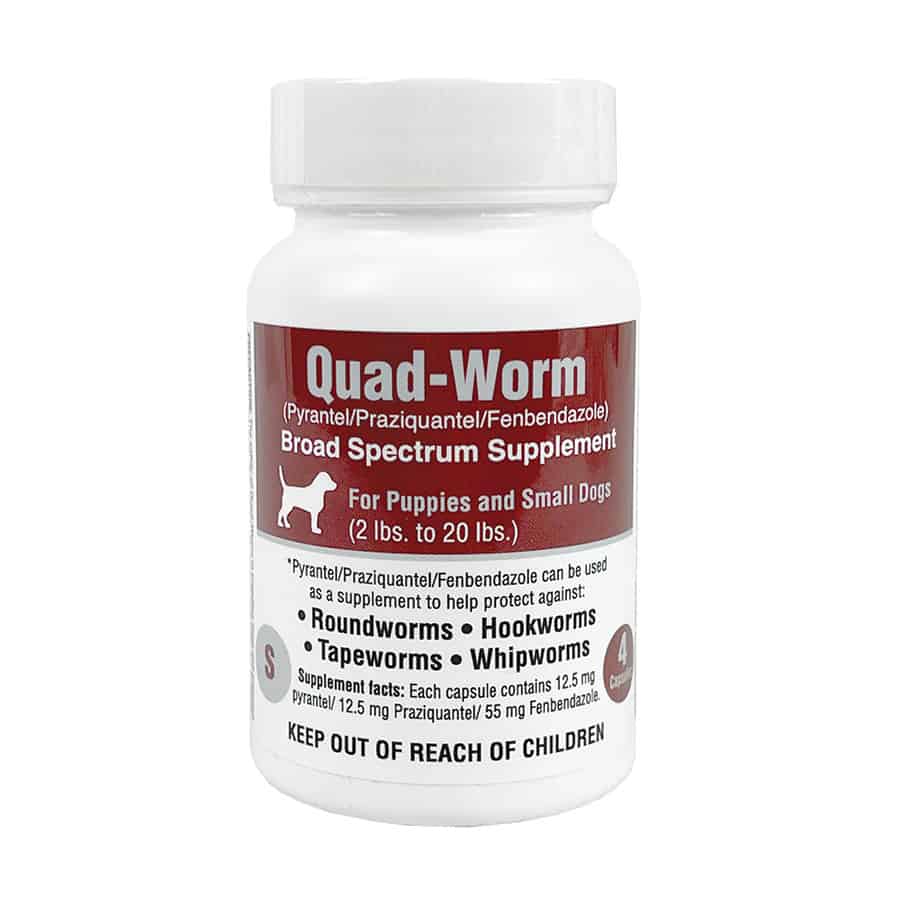 Quad-Worm for SMALL Dogs 2-20 lbs 4 Ct