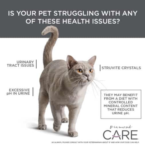 Diamond Care Urinary Support Formula Cat Food