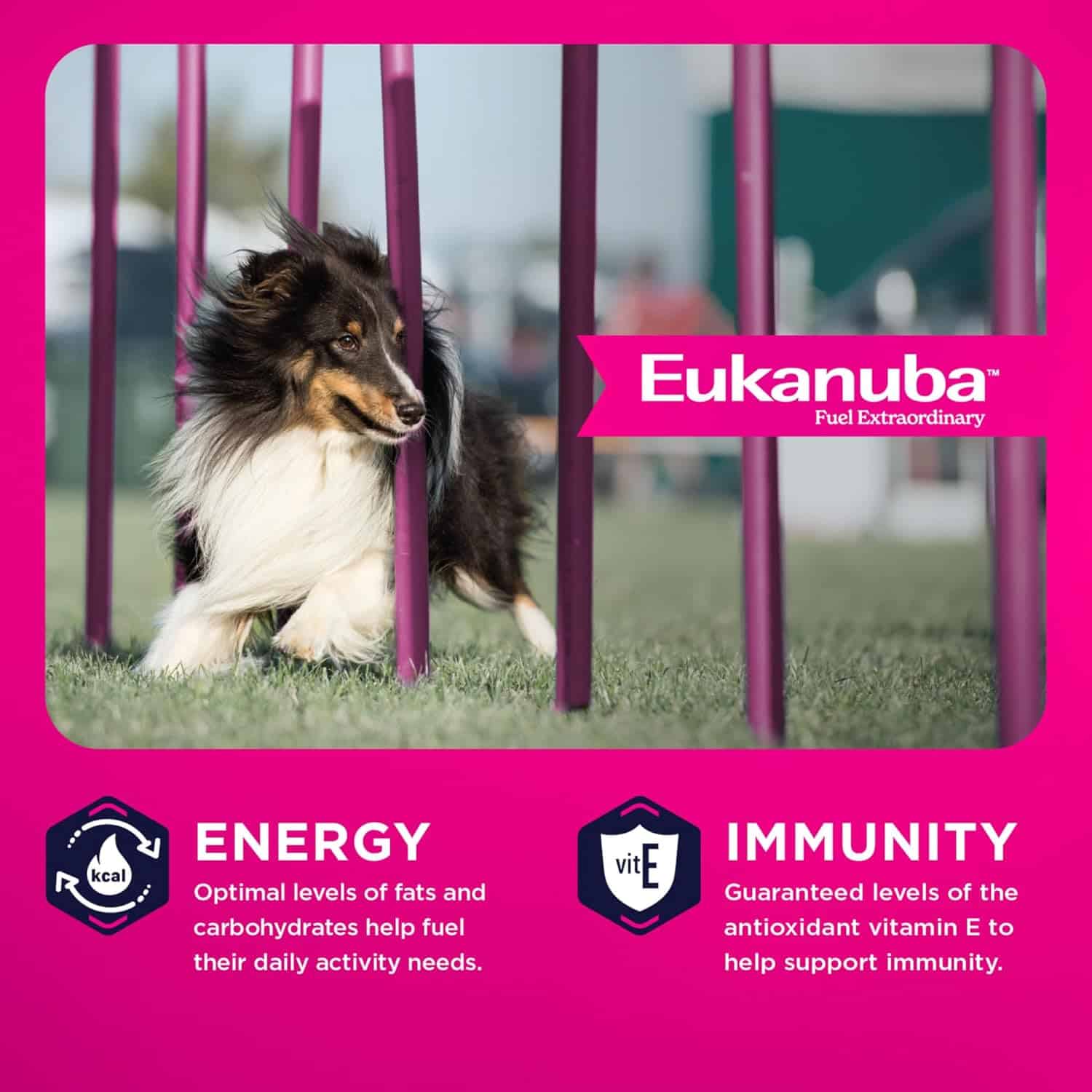 Euk-Med-Breed-INFO3