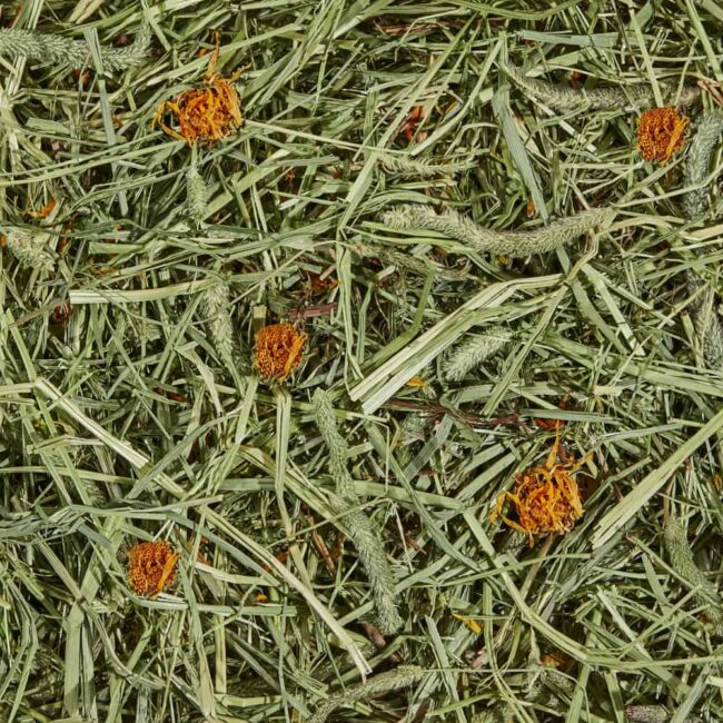 timothy-hay-plus-marigolds-2