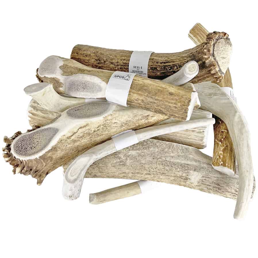 Real Deer Antler Dog Chews