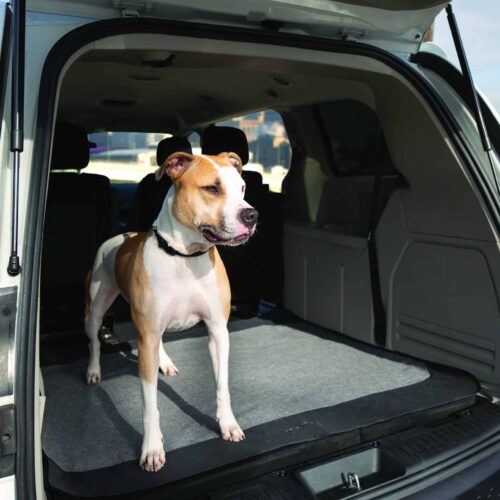 Bergan Auto Cargo Floor Protector