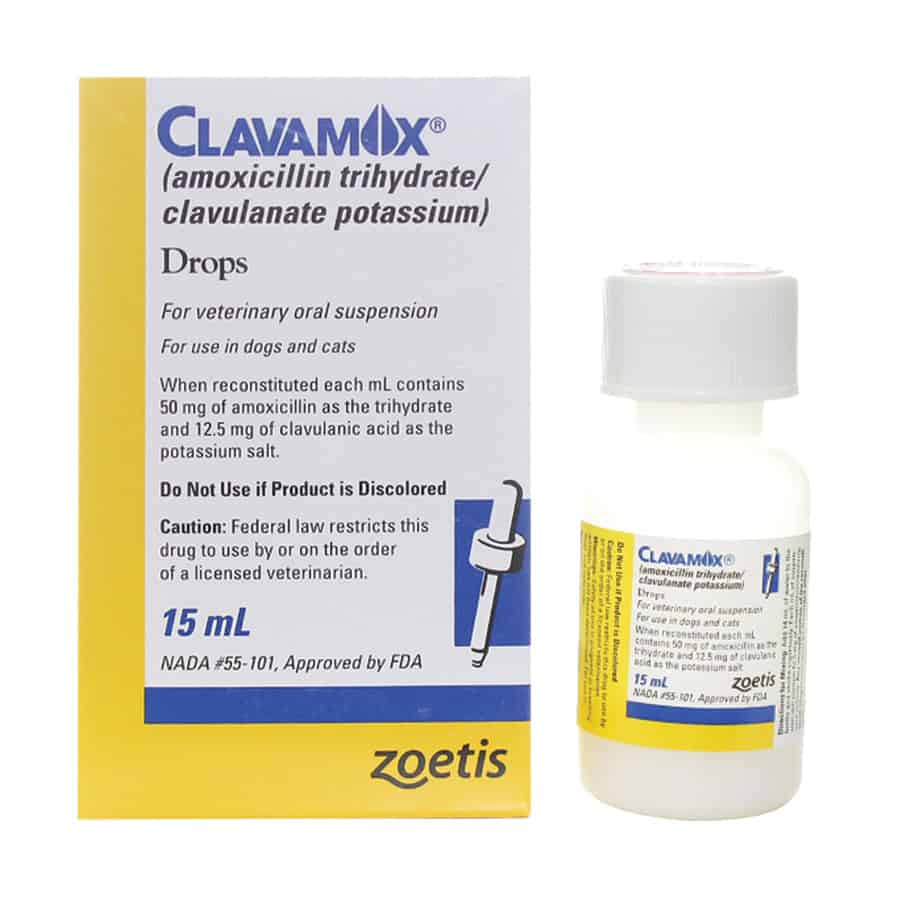 Clavamox® Drops 15ml - Broad-Spectrum Antibiotic (amoxicillin and clavulanate potassium for oral suspension)