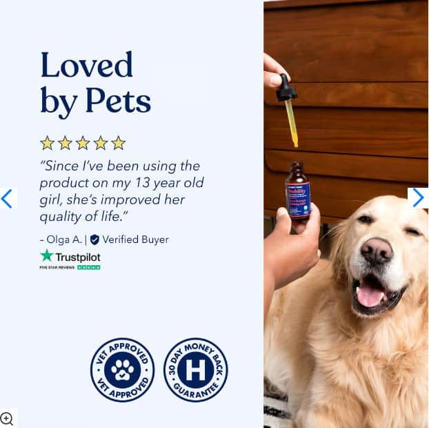 Honest Paws Mobility Hemp Oil for Dogs