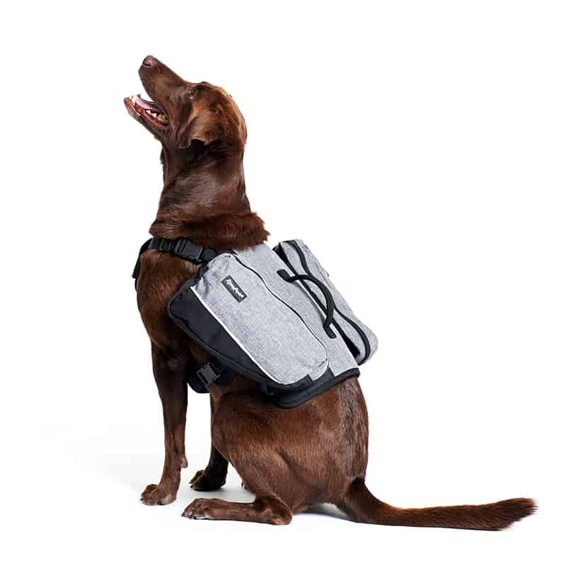 ZippyPaws Adventure Backpack for Dogs