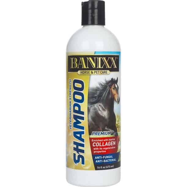 Banixx Medicated Veterinarian Strength Shampoo 16 oz