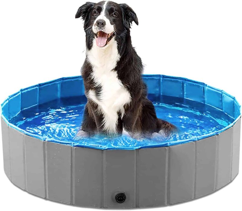 Collapsible Pet Pool