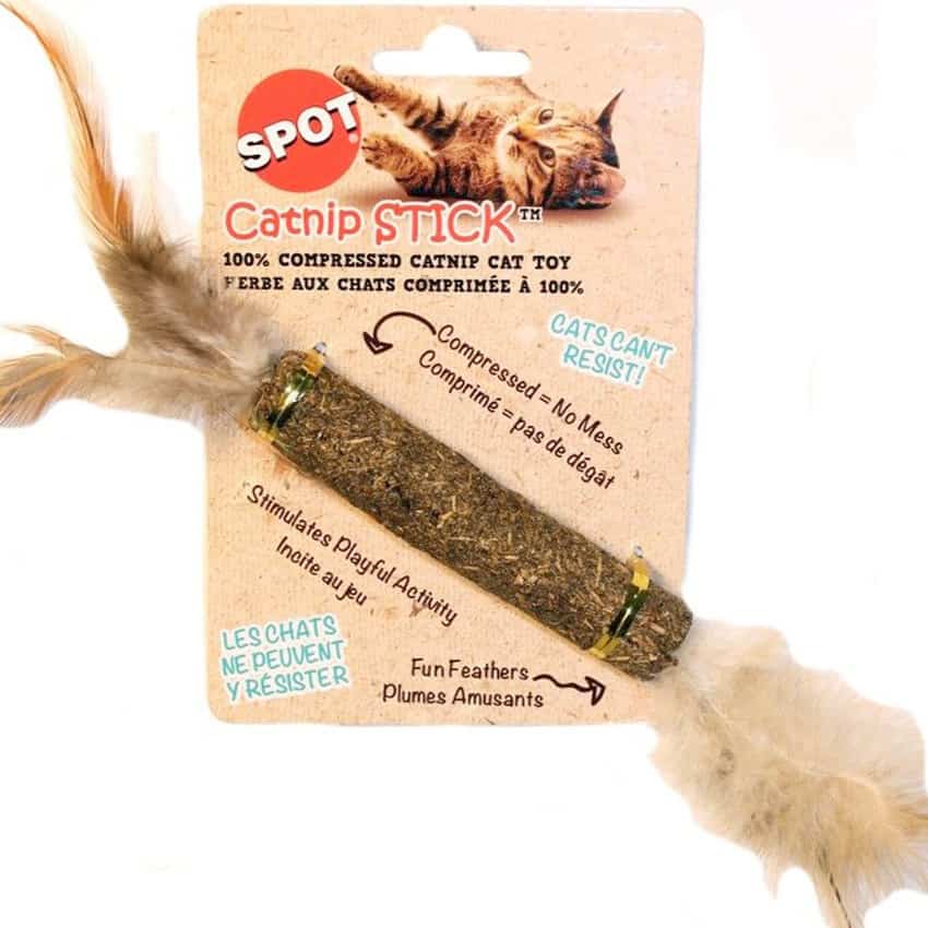 SPOT Catnip Stick with Feathers Cat Toy