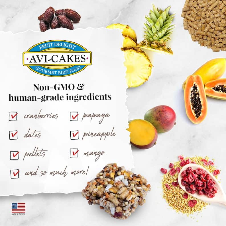 Lafeber's Fruit Delight Avi-Cakes for Parrots 8 oz