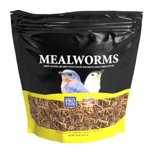 Wild Delight Meal Worms 16 oz