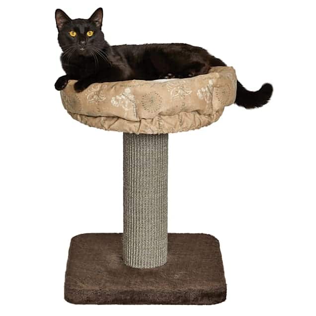 Midwest Feline Nuvo Terrace Cat Tower