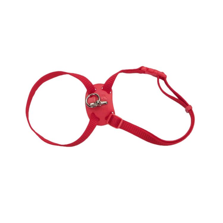 Size Right Snag-Proof Adjustable Cat Harness Red
