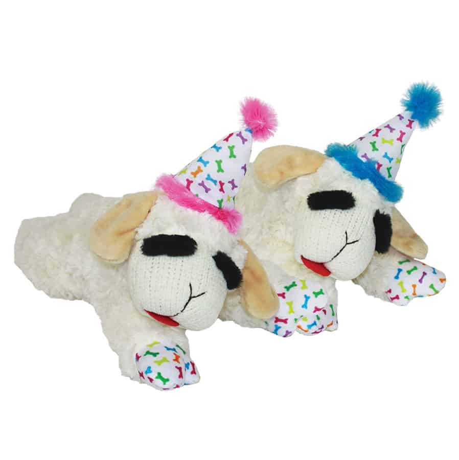 Multipet Lamb Chop Birthday Dog Toy 10.5"