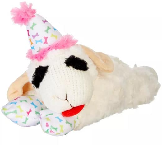 Multipet Lamb Chop Birthday Dog Toy 10.5"