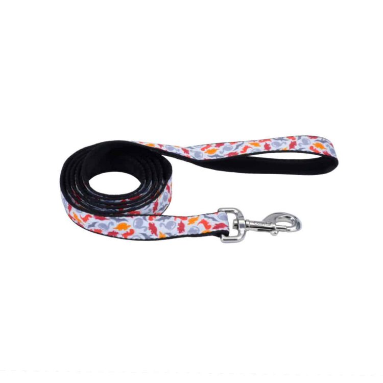 Coastal Styles Nylon Ribbon Dinosaur Leash