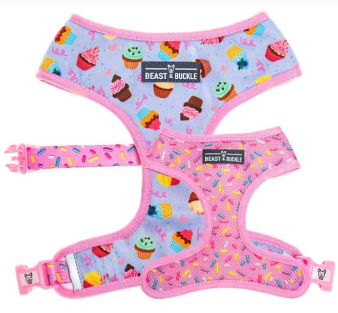 Beast & Buckle Cupcake Reversible Dog Harness