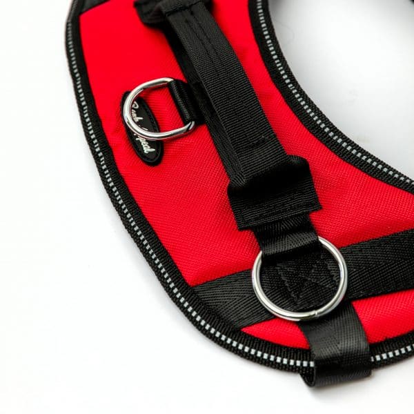 Bark Appeal No Pull Dog Harness Red