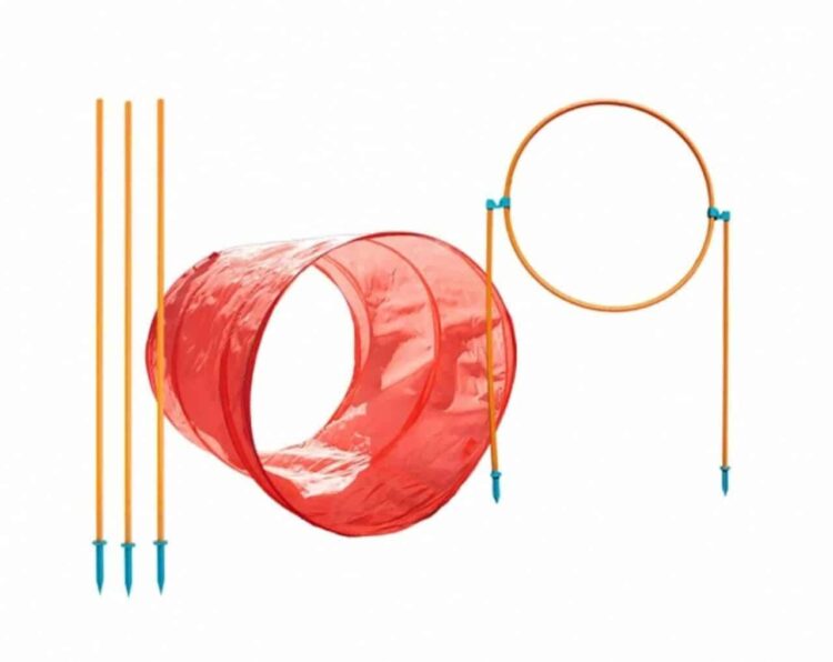 Zip & Zoom Outdoor Dog Agility Training Kit