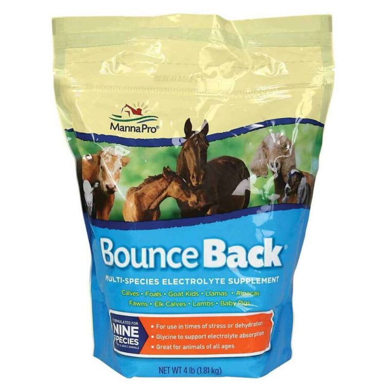 Bounce Back Multi-Species Electrolyte Supplement
