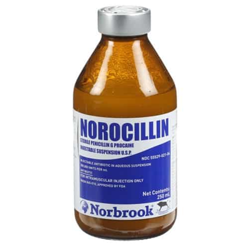 Norbrook® Norocillin Injectable Suspension (penicillin G procaine) 250ml