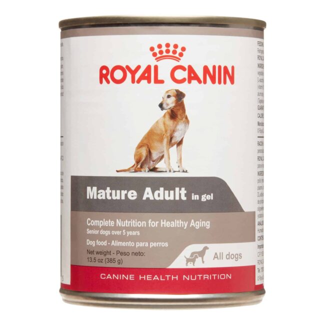 Royal Canin Mature Adult in Gel Canned Dog Food 13.5 oz