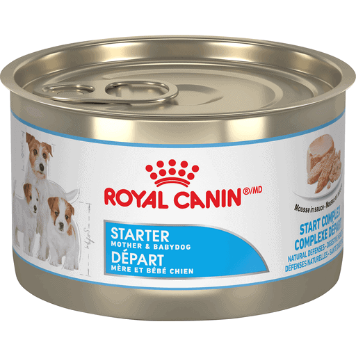 Royal Canin Mother & Babydog Starter Mousse in Sauce 5.1 oz