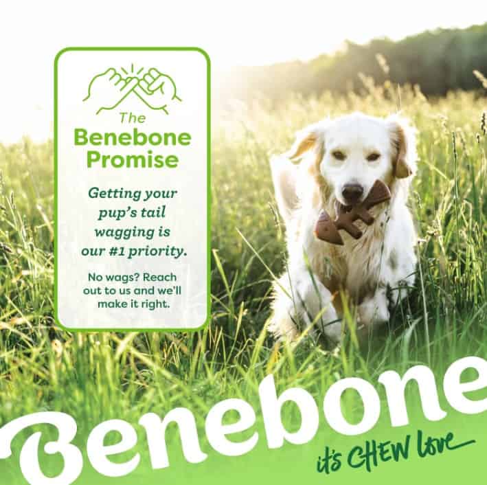 Benebone-Fishbone-INFO4