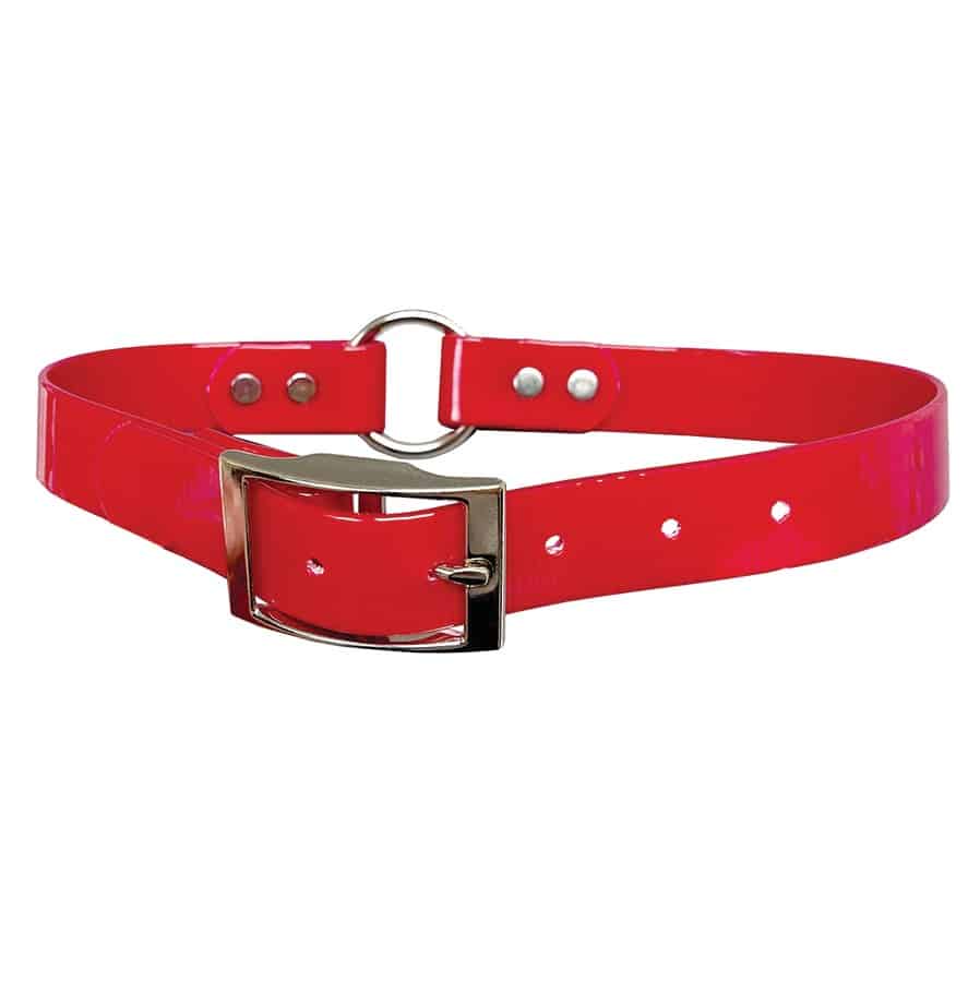 OmniPet SunGlo Polyurethane Coated Nylon Ring in Center Dog Collar