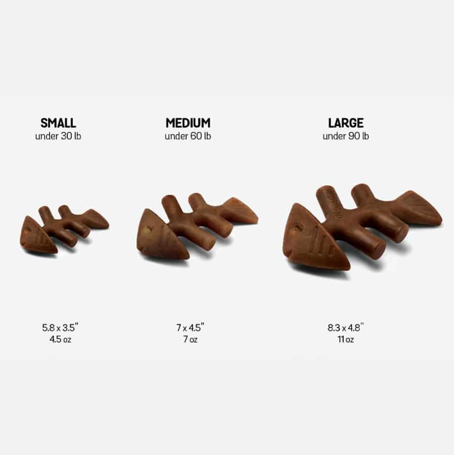 Benebone Fishbone Salmon Flavored Dog Chew