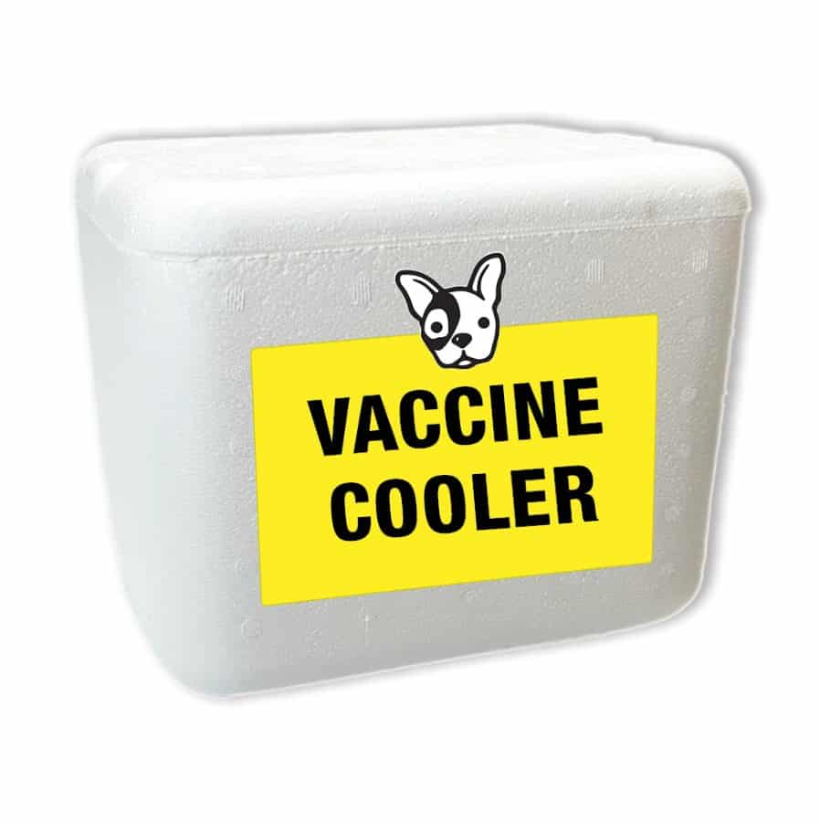 Foam Cooler for Vaccines & Temperature Sensitive Items
