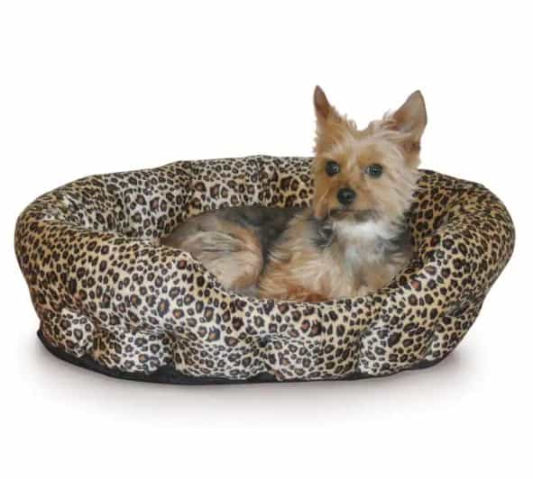 KH-Leopard-Print-Bed2