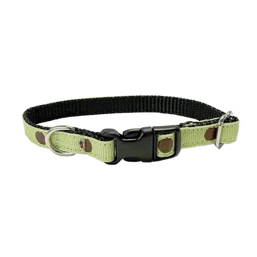 OmniPet Pocket Pups Tiny Mint Polka Dot Collar
