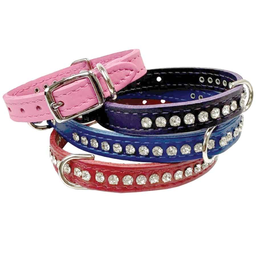 OmniPet Signature Leather Crystal Pet Collar