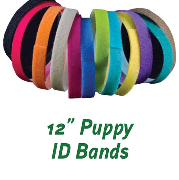 Puppy-ID-Bands-12
