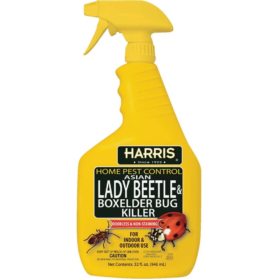 Harris Home Pest Control Asian Lady Beetle and Box Elder Killer 32 oz