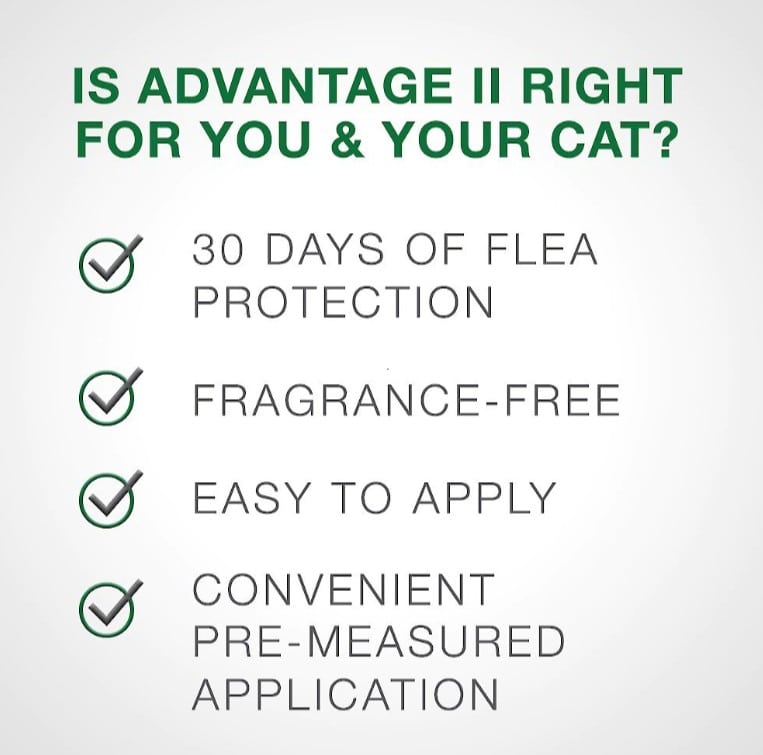 Advantage II Flea Spot-On Treatment for Large Cats Over 9 lbs 4 Pack