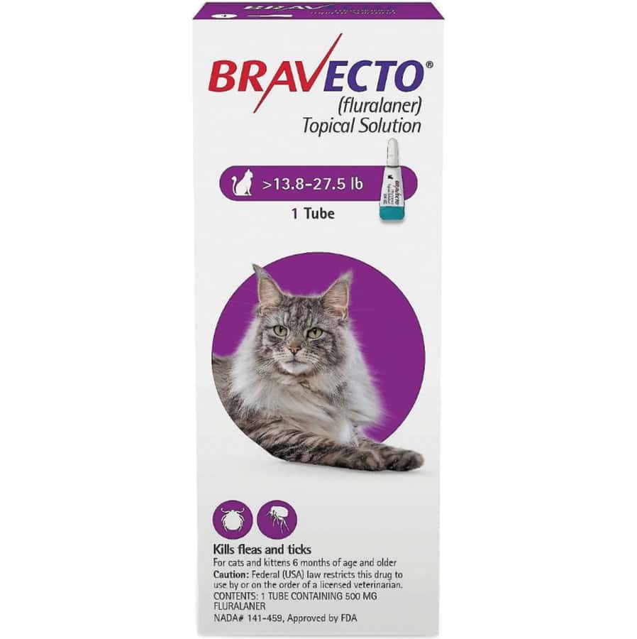 Bravecto Topical Solution for Cats 13.8-27.5 lb