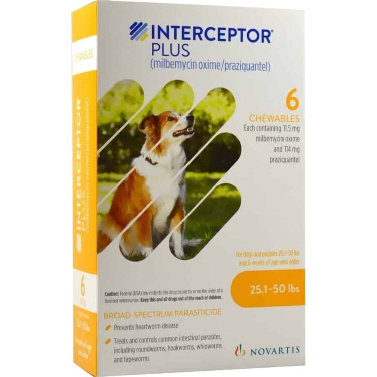 Interceptor PLUS Chewable Tablets Dogs 25.1-50 lbs 6 Pack